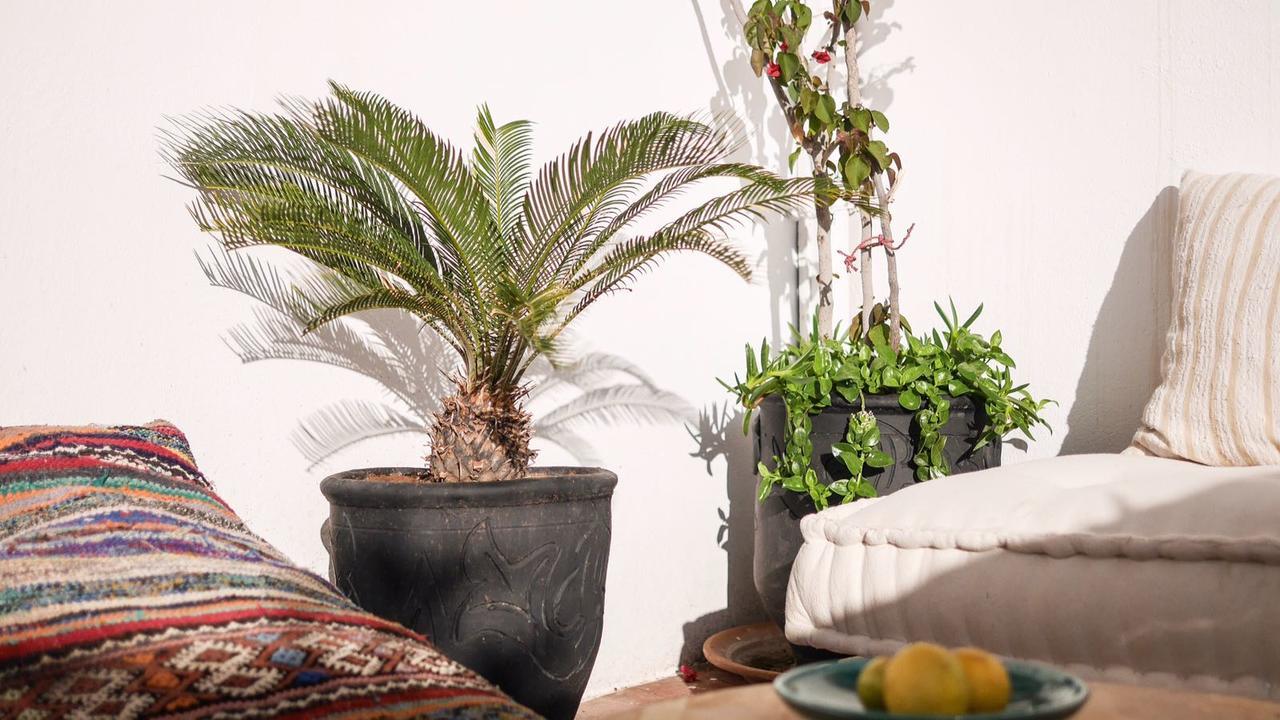 Boho 27 Hostel Marrakech Μαρακές Εξωτερικό φωτογραφία